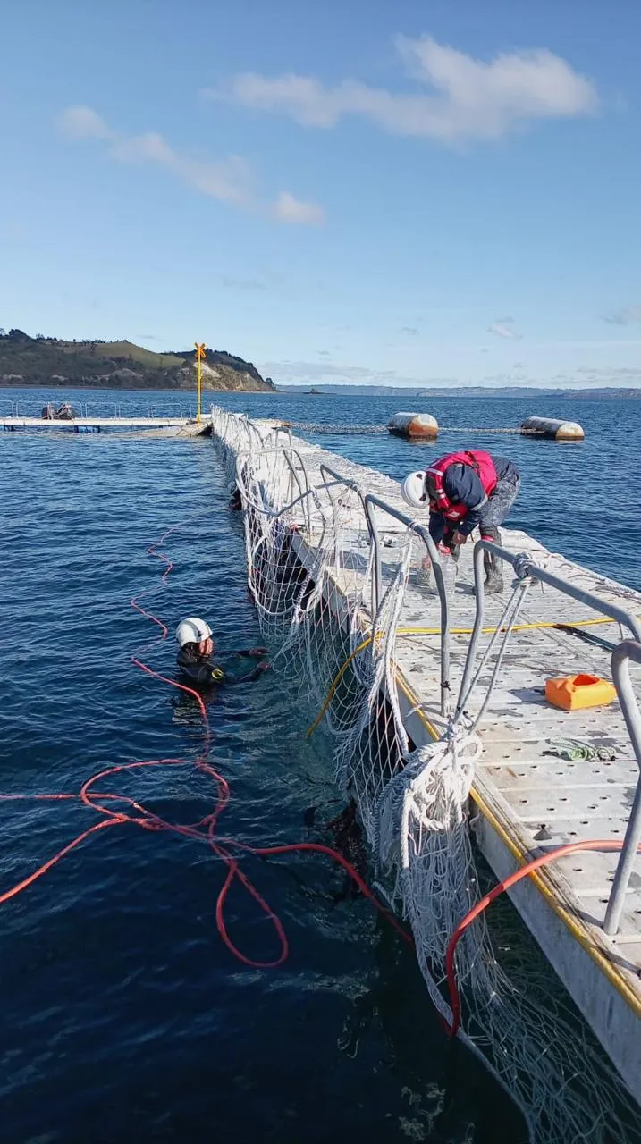 Mallas y estructura de un módulo acuícola